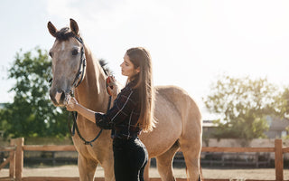 Nourishing Nobility: A Guide to Choosing the Right Feed for Your Horses