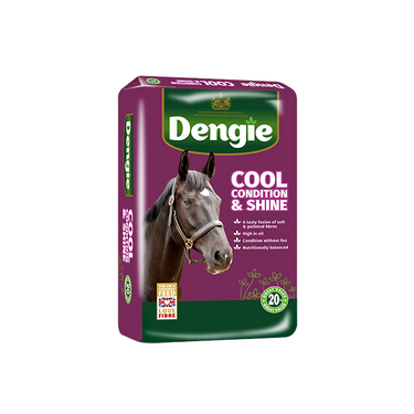 Dengie Cool, Condition & Shine - 20kg