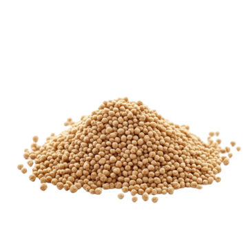 White Mustard Seed